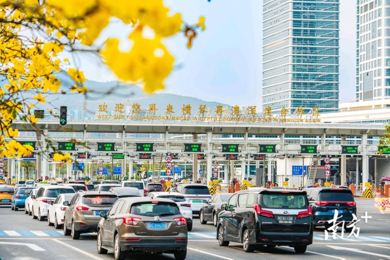 “琴澳一体”加速：横琴户籍优势下的资产配置新逻辑