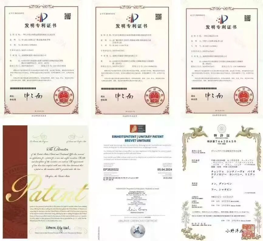 创新引航丨阳光诺和以双自主平台为核,构筑生物医药新质发展格局