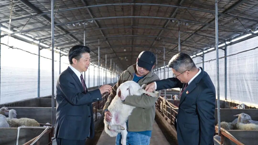 202312£ݷеĽڹٴ߷úҵ