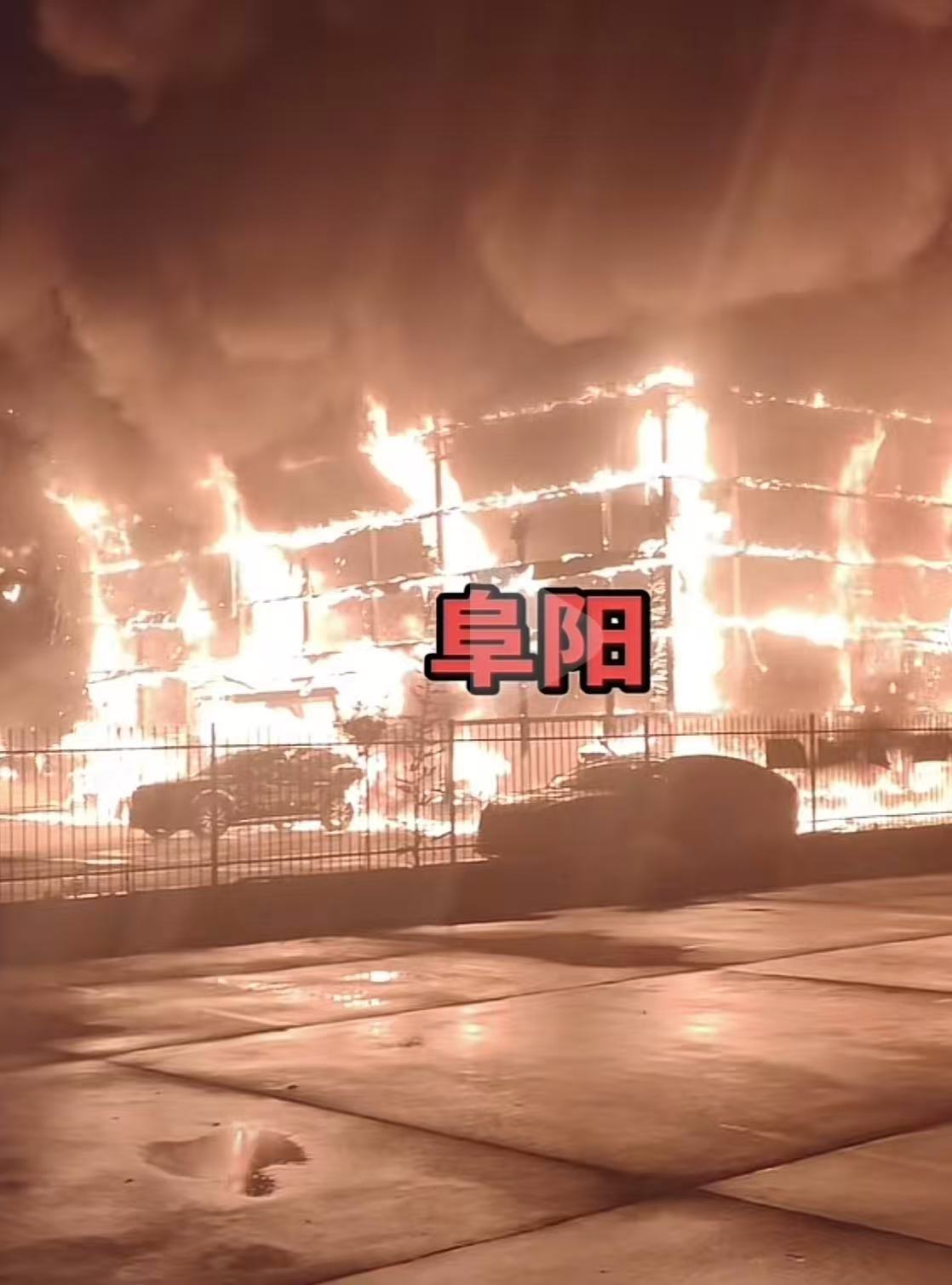 图片来源:网络视频截图