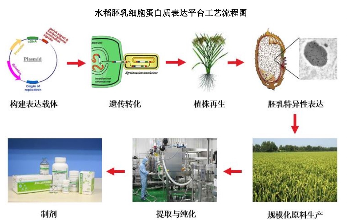 ձ213%ԪġѪˮȴڼ±ߣ