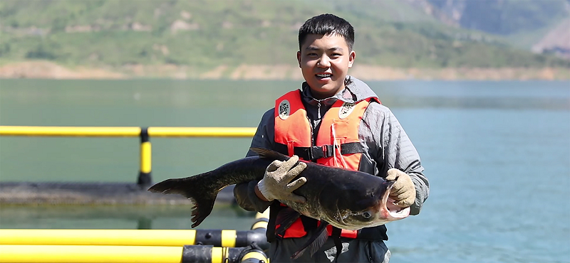肥硕的鲢鳙鱼。受访者供图