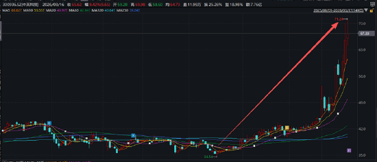 ����������Դ��wind��Ѷ��