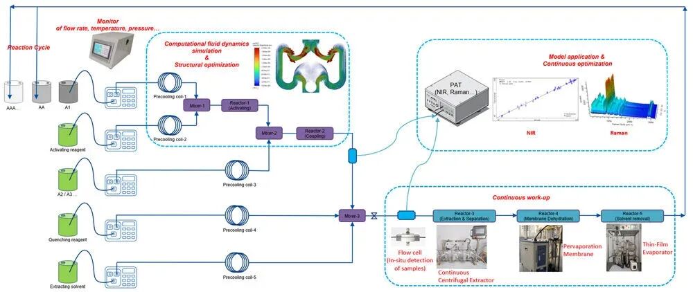 download high quality diagram showing the set up of CF-LPPS for a cyclic peptide