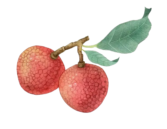 ͼƬ