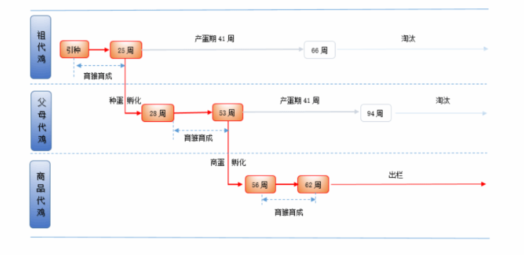 3cca9f71aeef42158cf51991590e5d7d.004.png