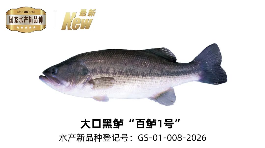 20260710-095206.jpg