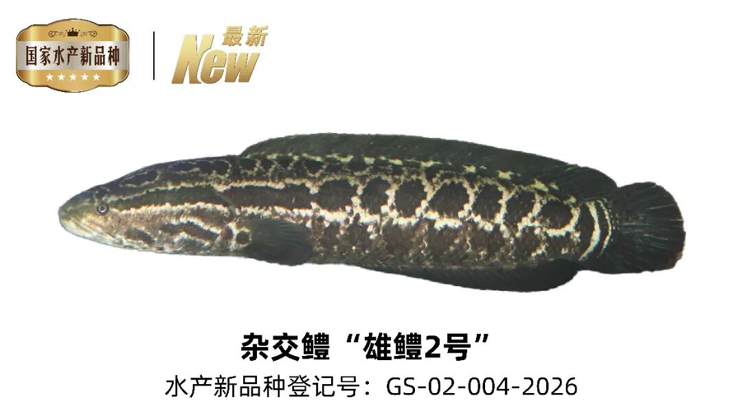20260710-095156.jpg