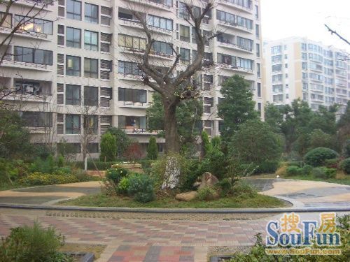 �Ÿ������ܰ԰
