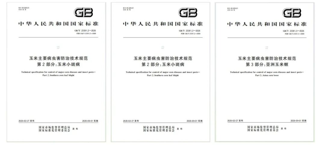 e540d3bbe3024fb3b82f6e8d4d5e2290.jpg