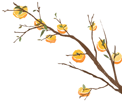 ͼƬ