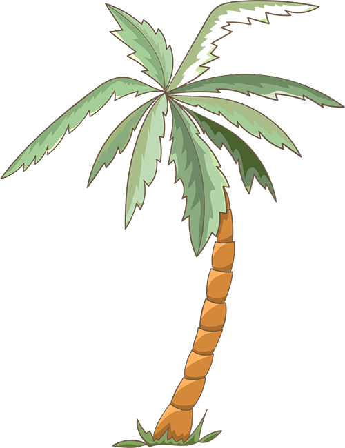 ͼƬ